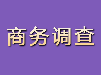 沿滩商务调查